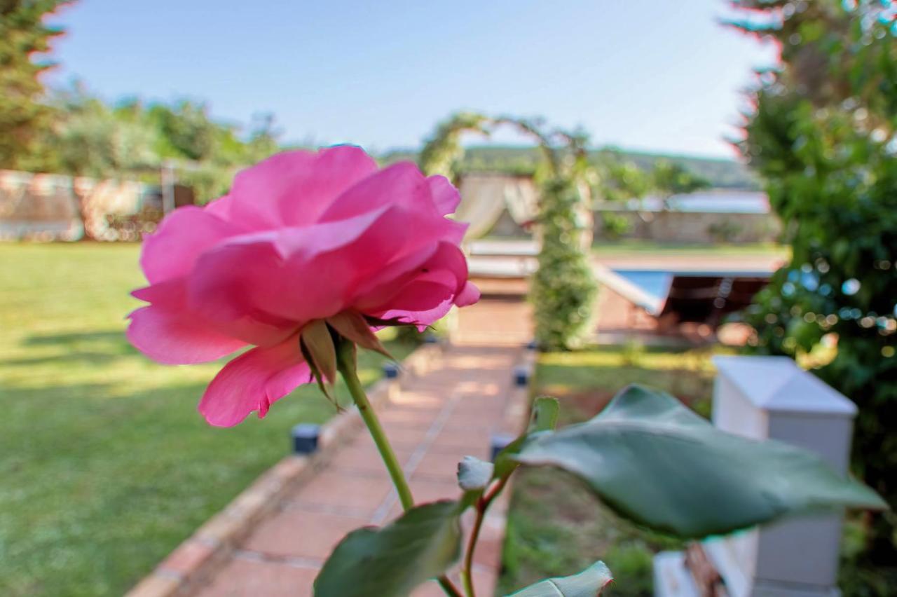 Giardino Marino Pomer