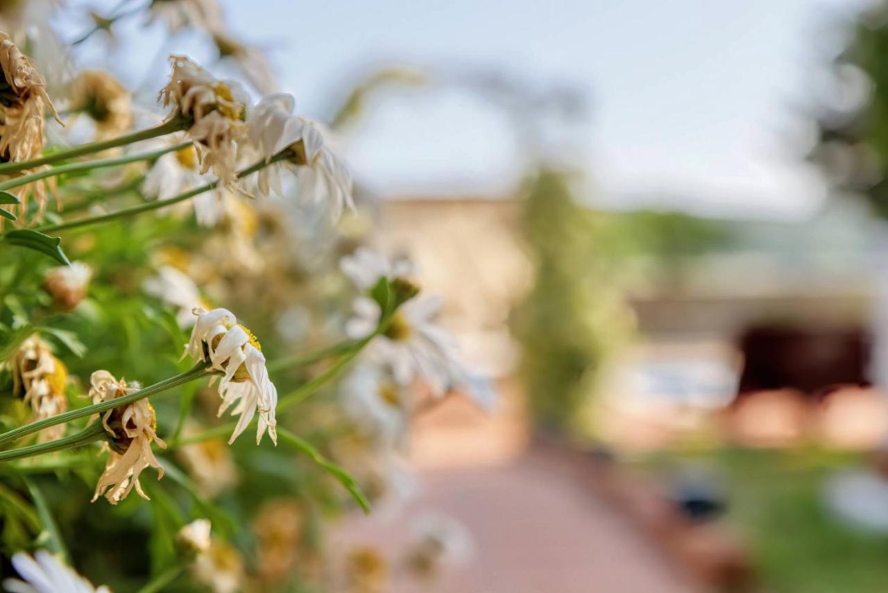 Giardino Marino * Pomer