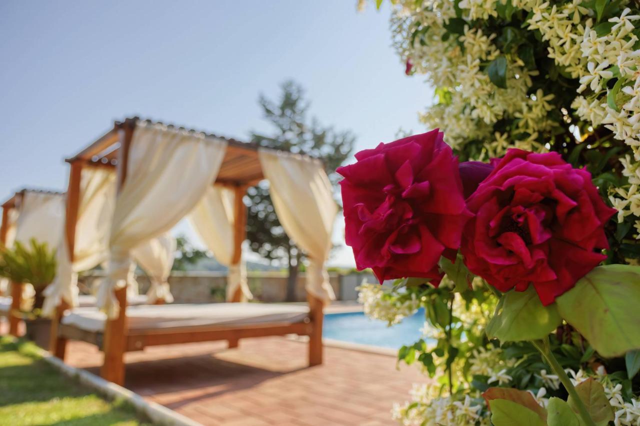 Giardino Marino Holiday home *