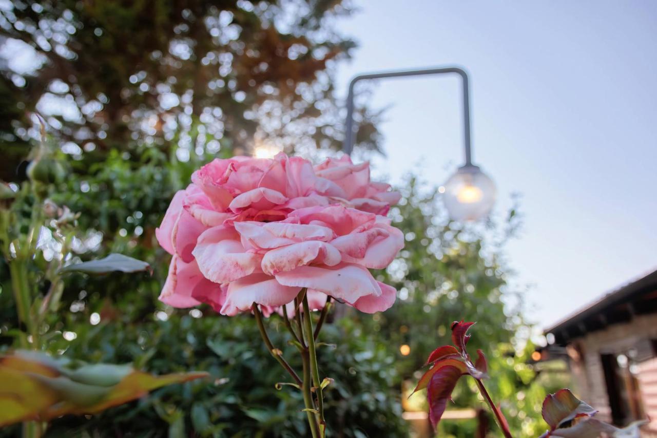 Giardino Marino Holiday home Pomer